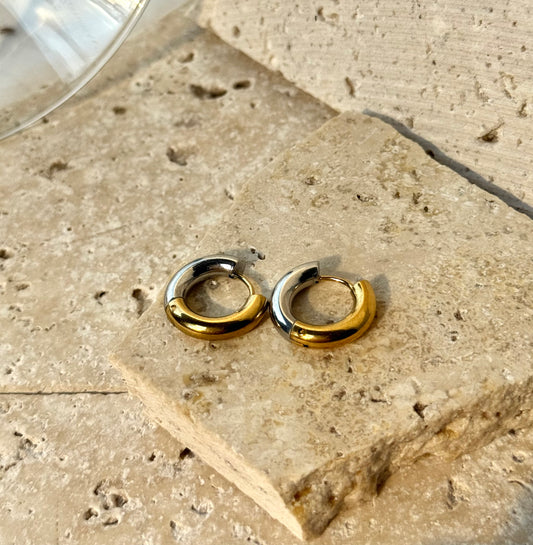 Two-Toned Hoops