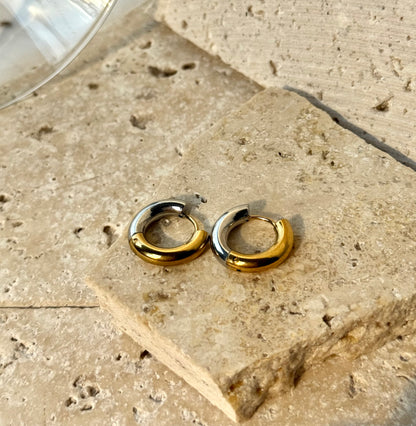 Two-Toned Hoops